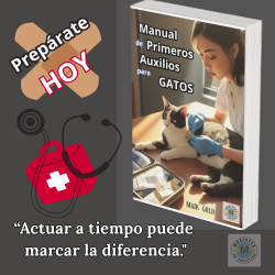 "Recetas Caseras para Gatos" + 2 BONUS